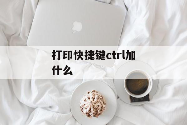 打印快捷键ctrl加什么（excel 打印快捷键）
