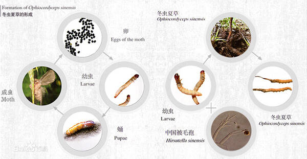 3_九雷图片转换器.jpg