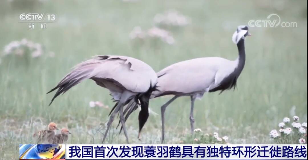 2_九雷图片转换器.jpg