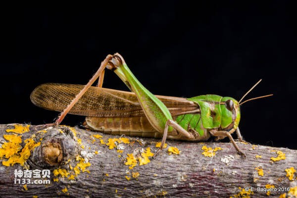 2024032310425839.jpg 9.jpg