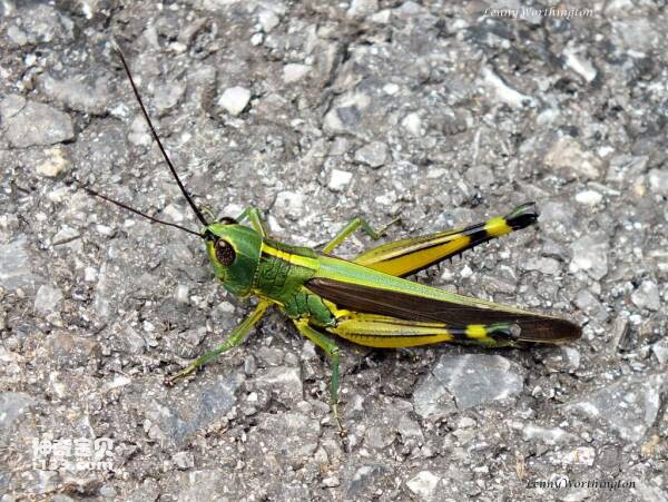 2024032312251861.jpg 6.jpg