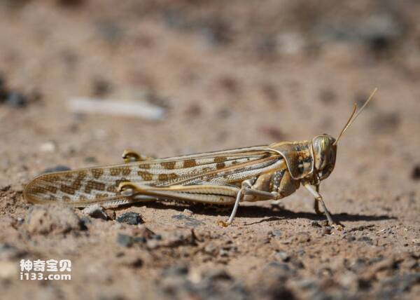 2024032315929290.jpg 1.jpg