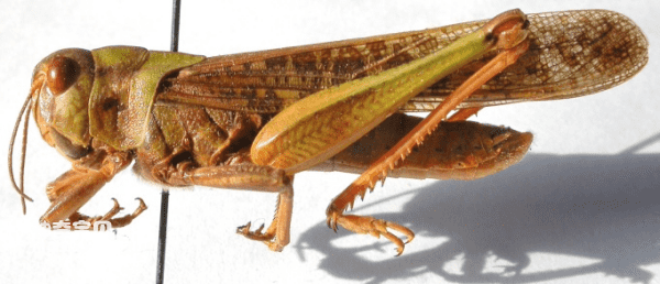 2024032317901271.png 5.png