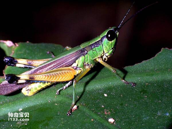 2024032318018890.jpg 11.jpg