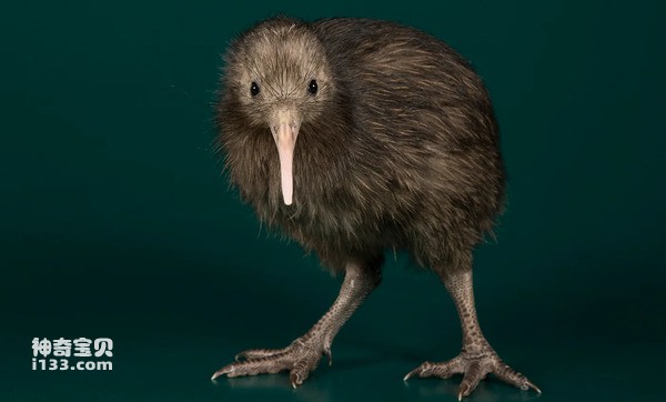 2024040512386270.jpg 10.jpg