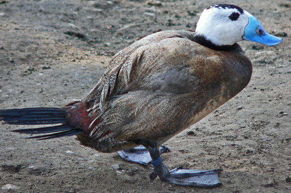 2024040516775659.jpeg 8.jpeg