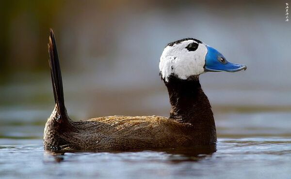 2024040518653405.jpeg 88.jpeg