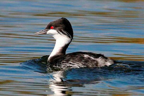 2024040543104739.jpeg 7.jpeg