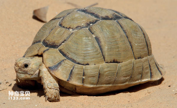 2024041519826075.png 10.png