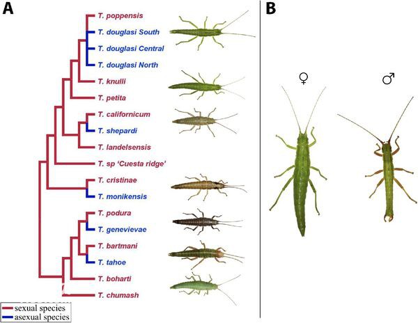 2024070310087079.jpg 11.jpg