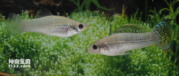 2024070311778662.jpg 10.jpg