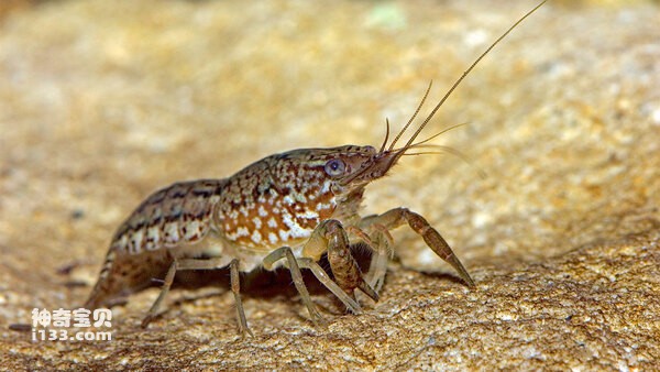 2024070320099563.jpg 8.jpg