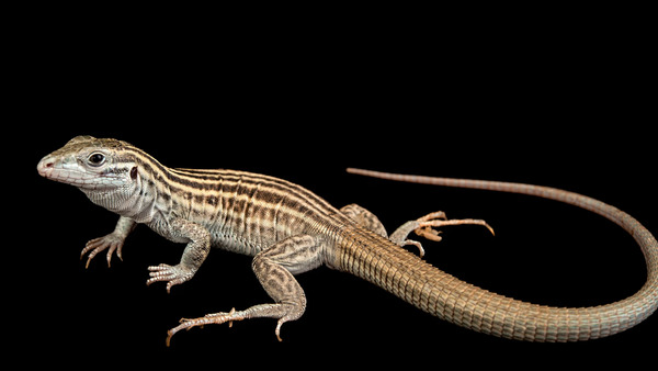 2024070320620865.jpeg 7.jpeg