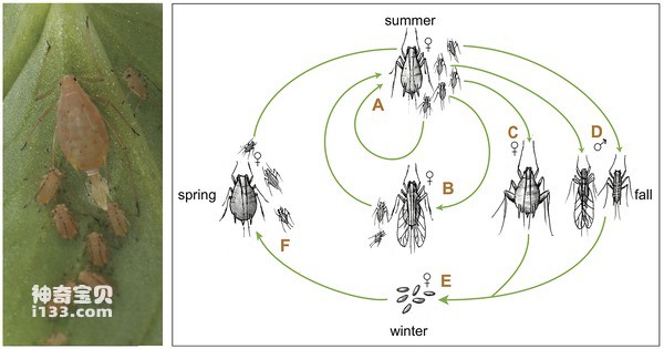 2024070354450272.jpg 1.jpg