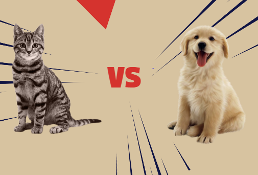 猫和狗哪个携带的疾病更多？全面对比