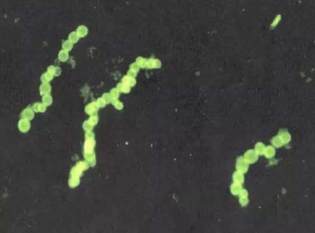 2025060419705177.webp 2.webp