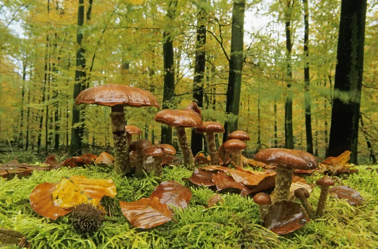 2025060470922156.webp 23.webp