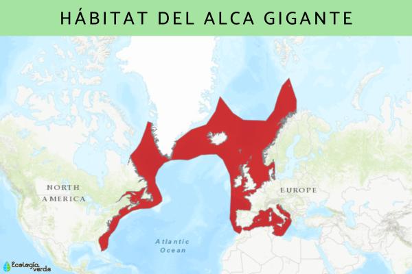 大海雀:灭绝原因、栖息地和饮食 - 大海雀栖息地