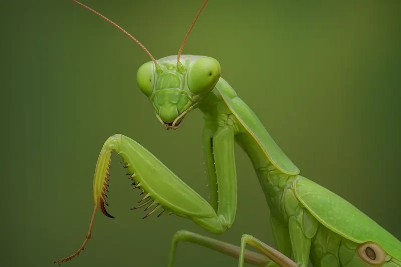 2025060911494443.webp 10.webp