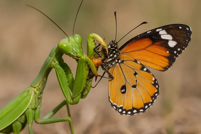 2025060916720327.webp 9.webp