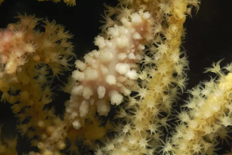 2025061210936916.webp 6.webp