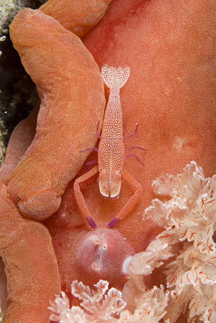 2025061218267573.webp 5.webp