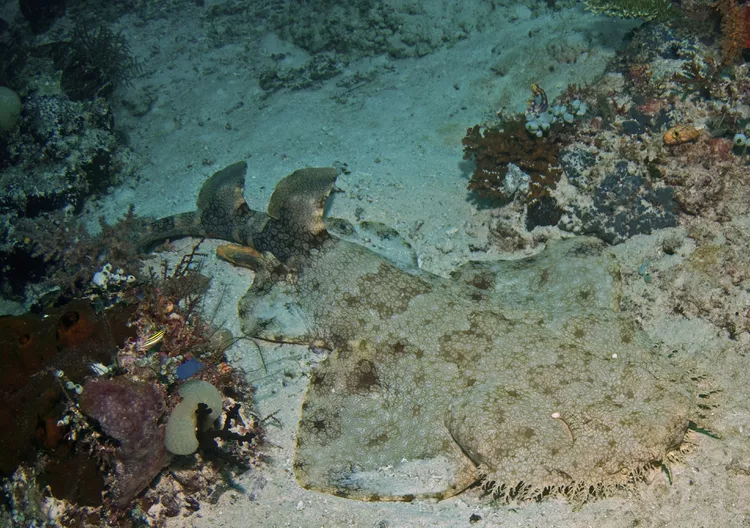 2025061214025853.webp 3.webp