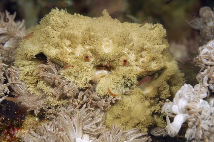 2025061248359294.webp 12.webp