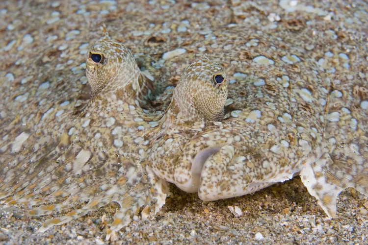 2025061237302056.webp 13.webp