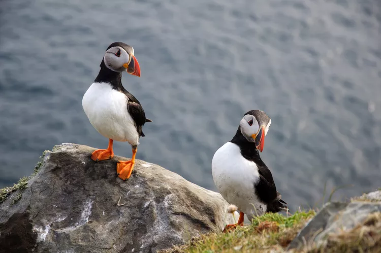 2025061719149285.webp 2.webp