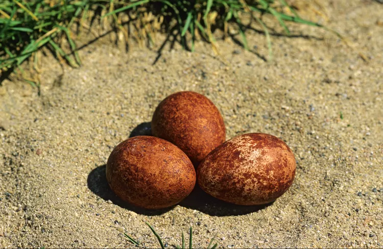 2025061798172598.webp 5.webp