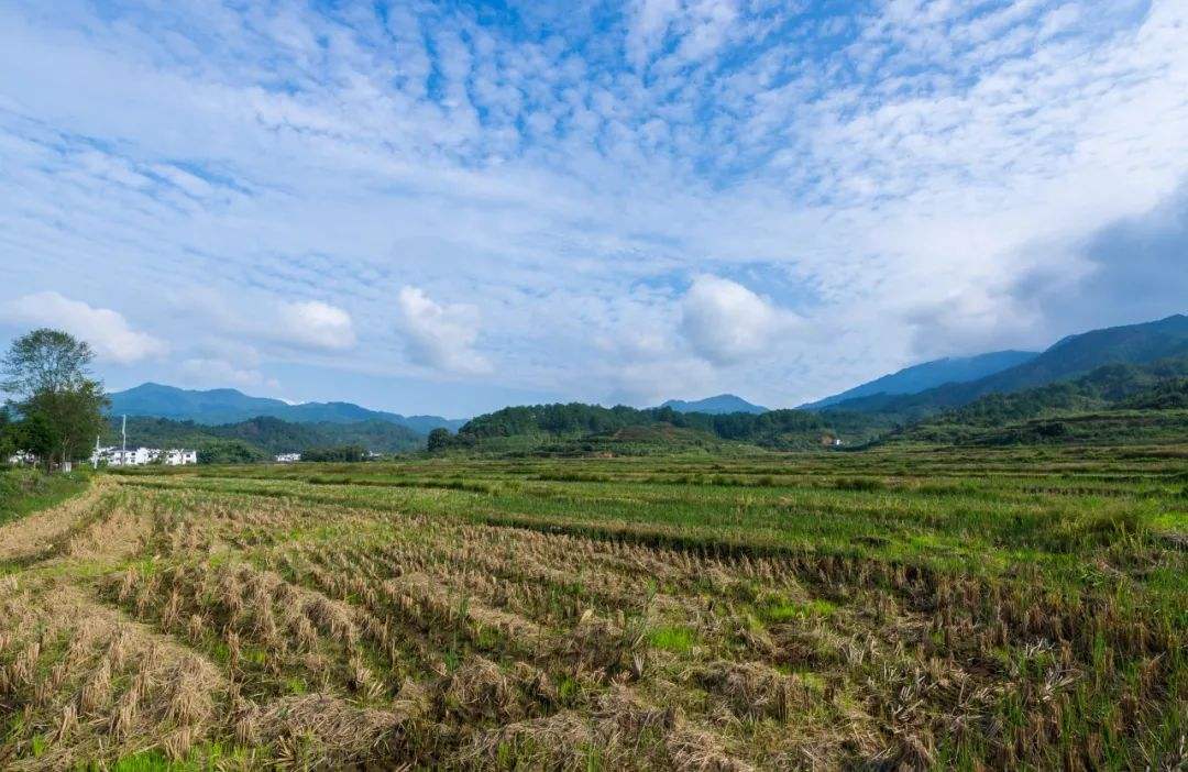 国家临时用地补偿标准是什么?