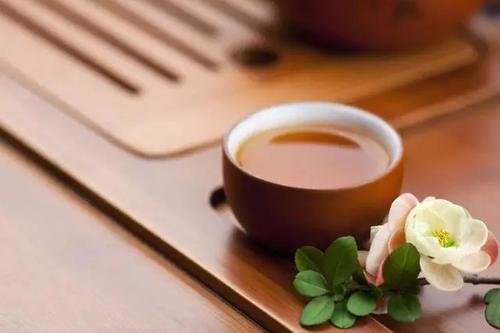  春季正当时，中医春季养生-养生茶