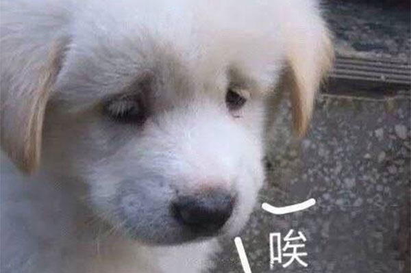 叹气是气虚