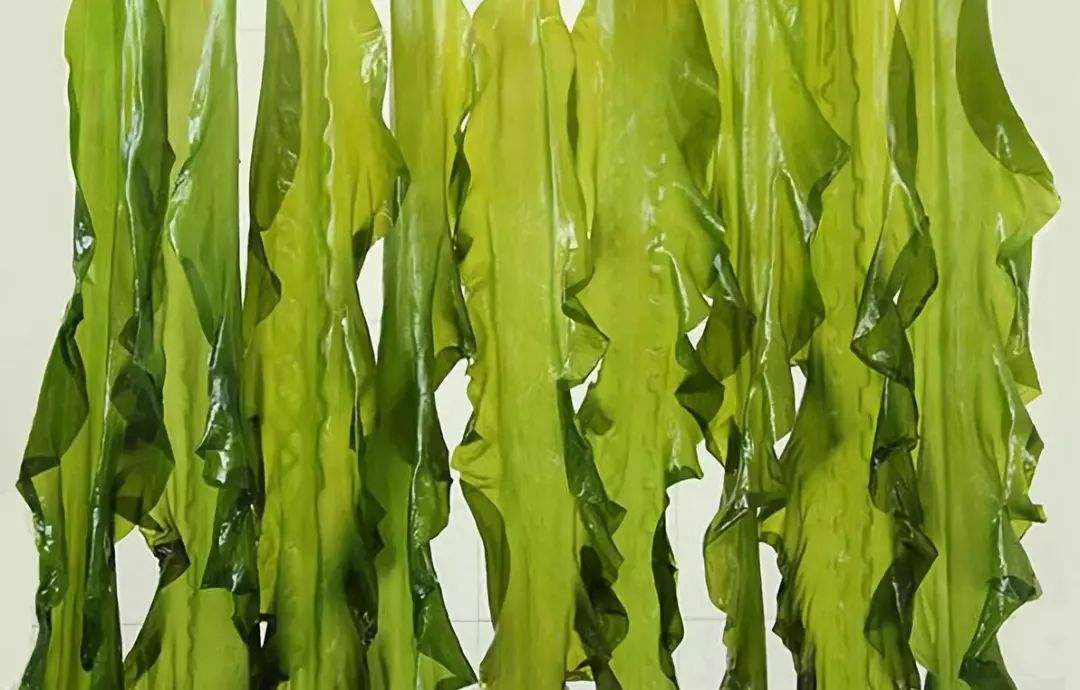 海带可以润肤护发