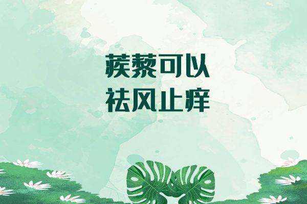 蒺藜可以祛风止痒.jpg