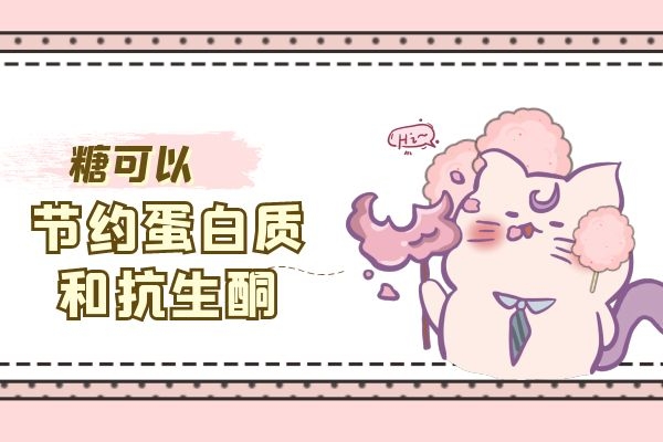 糖能节约蛋白质抗生酮.jpg