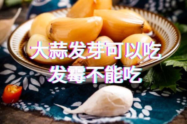  大蒜发芽能吃吗？大蒜怎样保存才不会发芽呢？