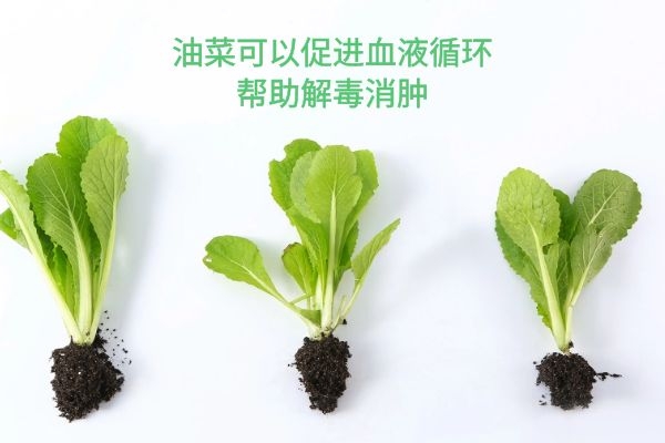 解毒消肿