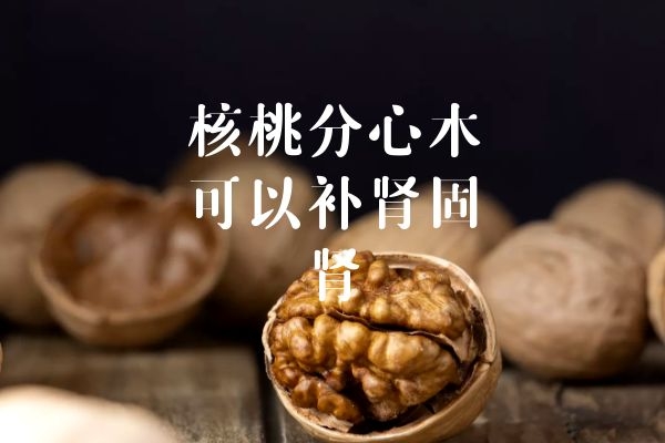 补肾固肾