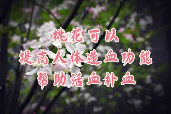 活血补血