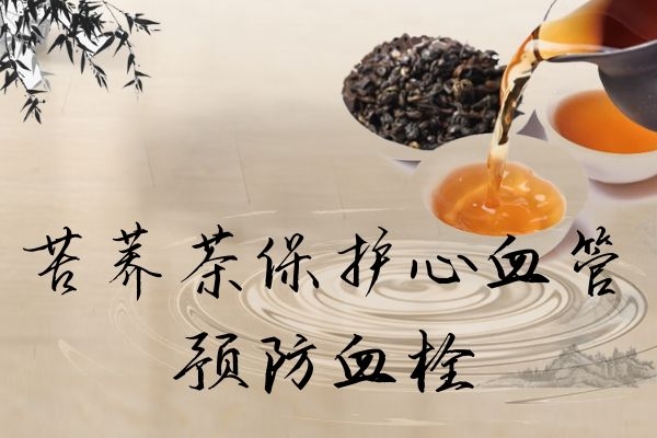 保护心血管