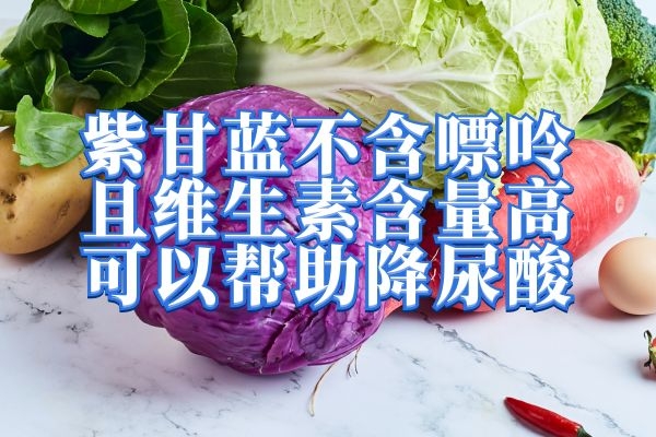 紫甘蓝