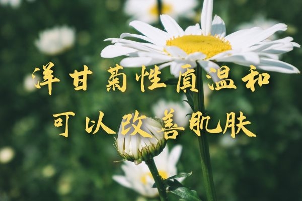 改善肌肤