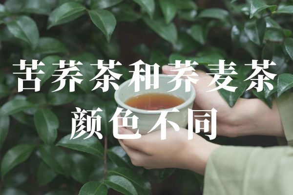颜色不同 颜色不同