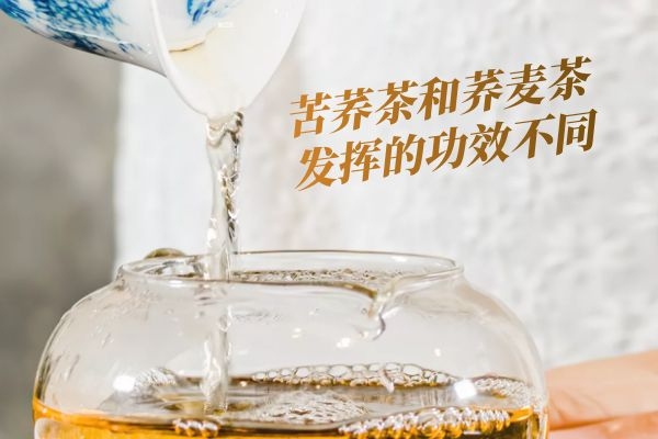 主要功效不同 主要功效不同