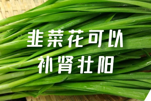 补肾壮阳