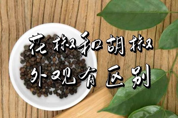  同作为常用调味品的胡椒和花椒的区别是什么呢？