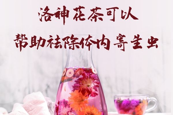 驱虫