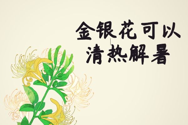 清热解暑